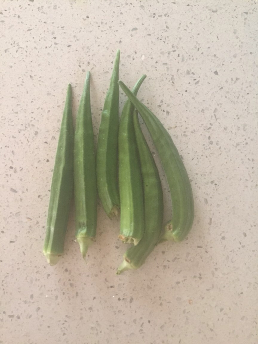 Okra!!! Organic Home Garden!!!!