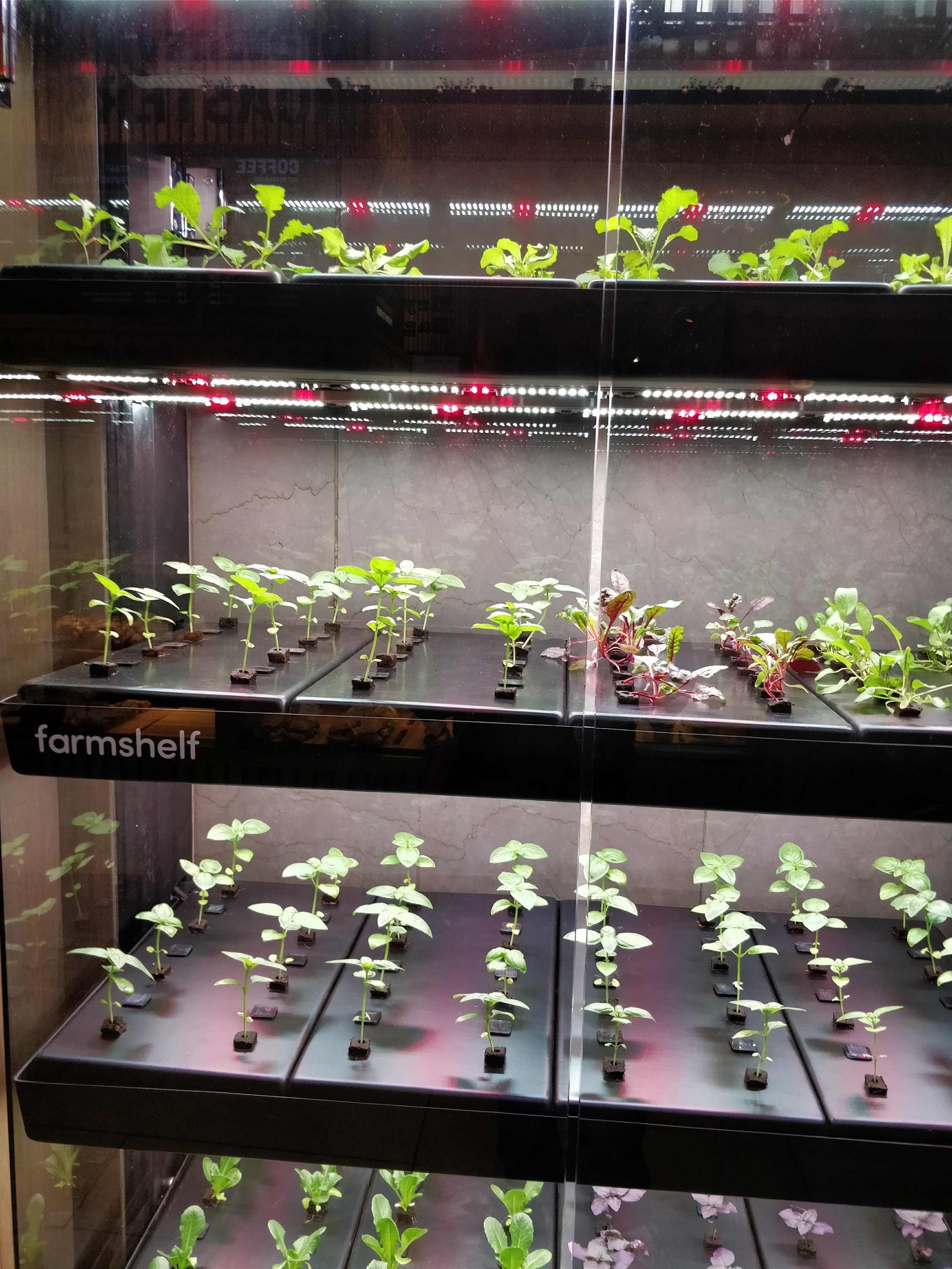 Farmer's Shelf Shelf to grow Saplings!!!