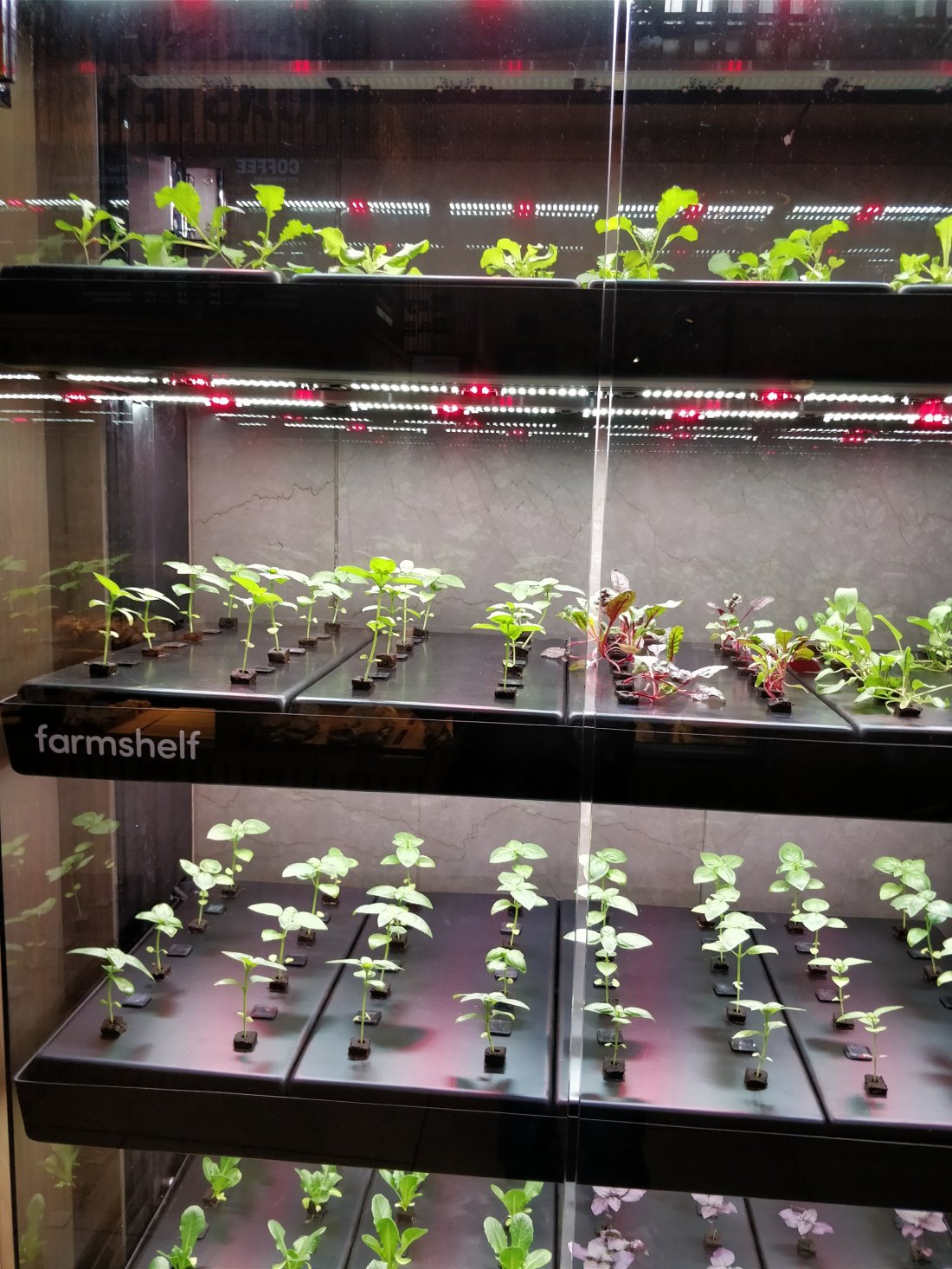 Shelf to grow Saplings!!!