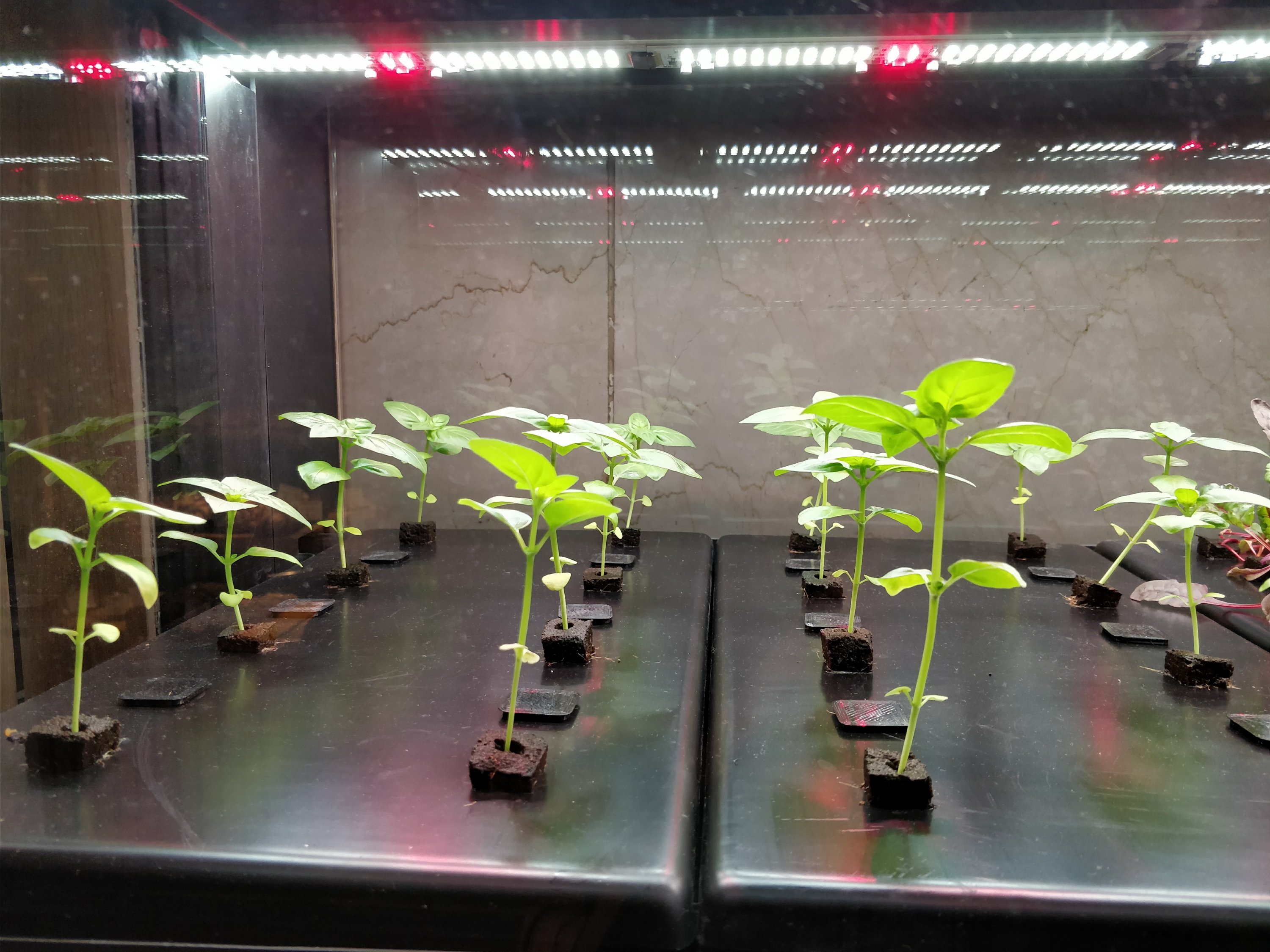 Farmer's Shelf Farmer's Shelf!;